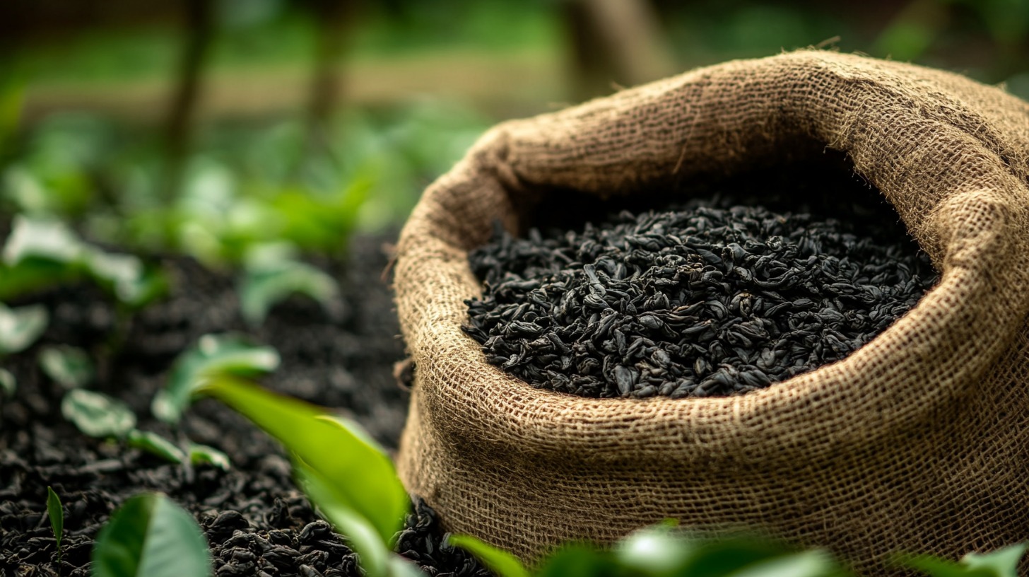 burlap sack filled with freshly plucked black tea leaves in a lush green tea plantation