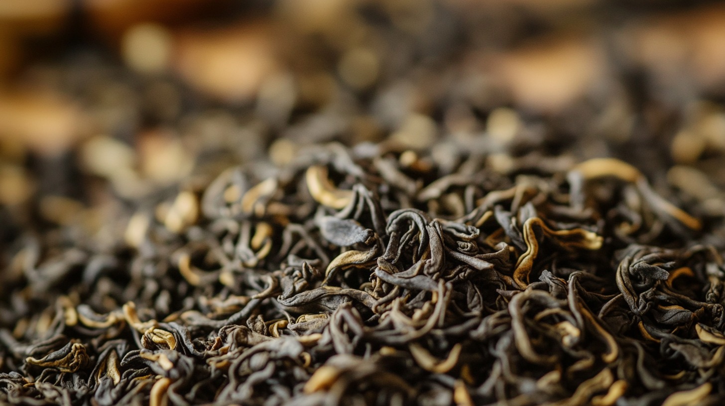 Close-up of premium Assam tea leaves with golden tips, showcasing their fine quality