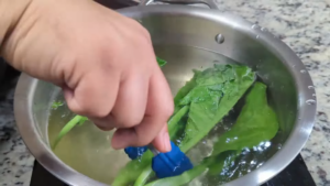 A Hand Using Blue Tongs to Lift Blanched Gai Lan from A Pot of Hot Water