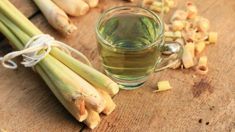 Lemongrass Tea benefits, Side-effects and Facts